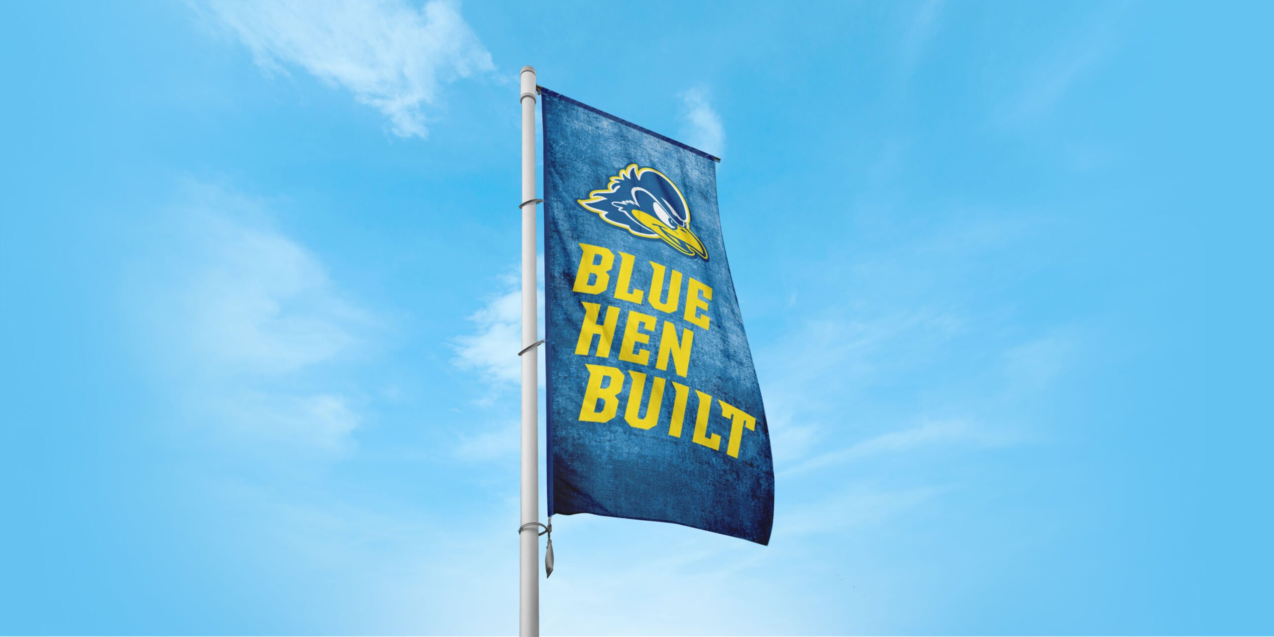 University of Delaware Athletics - Branding and Campaign Design