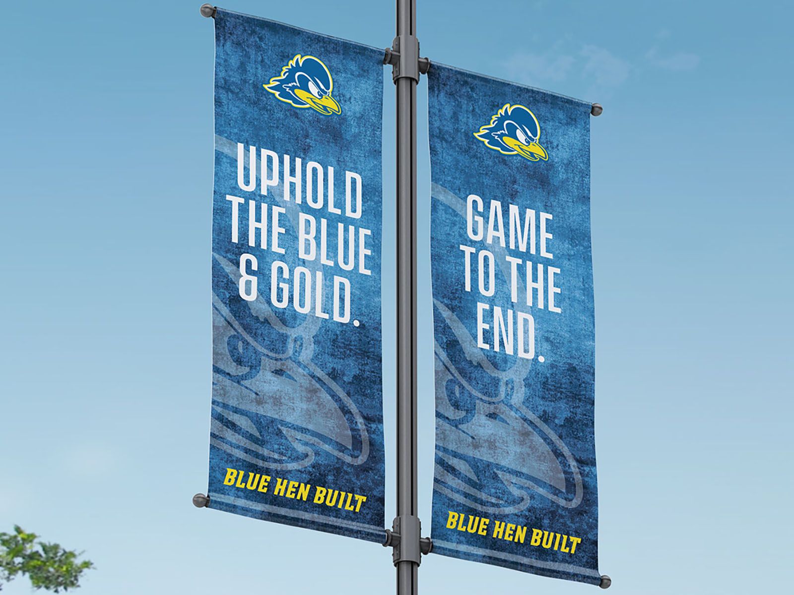 University of Delaware Blue Hens - Marketing and Ad Campaign
